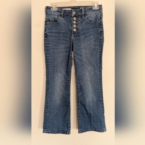 Pilcro Anthropologie High Rise Flare Button Fly Jeans 27" (shorter inseam @ 23")